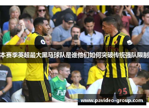 本赛季英超最大黑马球队是谁他们如何突破传统强队限制 本赛季英超最大黑马球队是谁他们如何突破传统强队限制