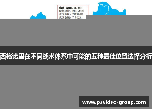 西格诺里在不同战术体系中可能的五种最佳位置选择分析